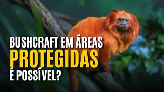 BUSHCRAFT EM UNIDADES DE CONSERVAÇÃO É POSSÍVEL - BUSHCAST #41