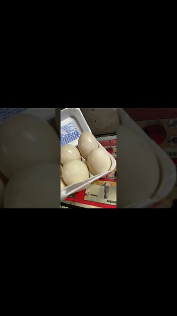 Cooking some Duck eggs today.