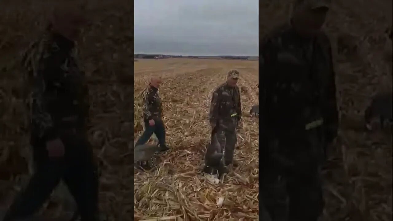 The EXCITEMENT of my FIRST BAND - watch until the end! #goosehunting