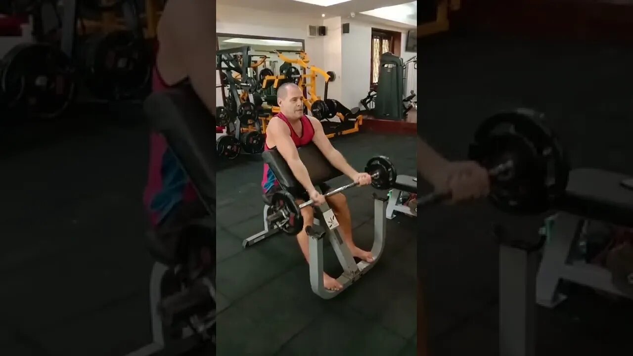 EZ Bar Preacher Curl Andre