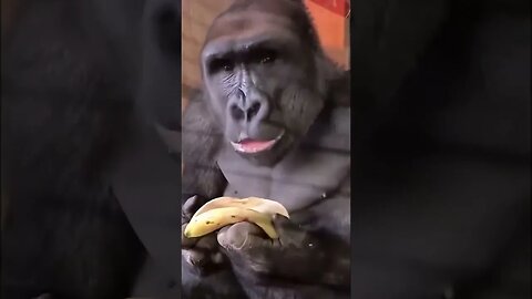 How to eat a banana.