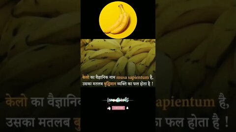 Interesting facts about banana #loreshorts #shorts