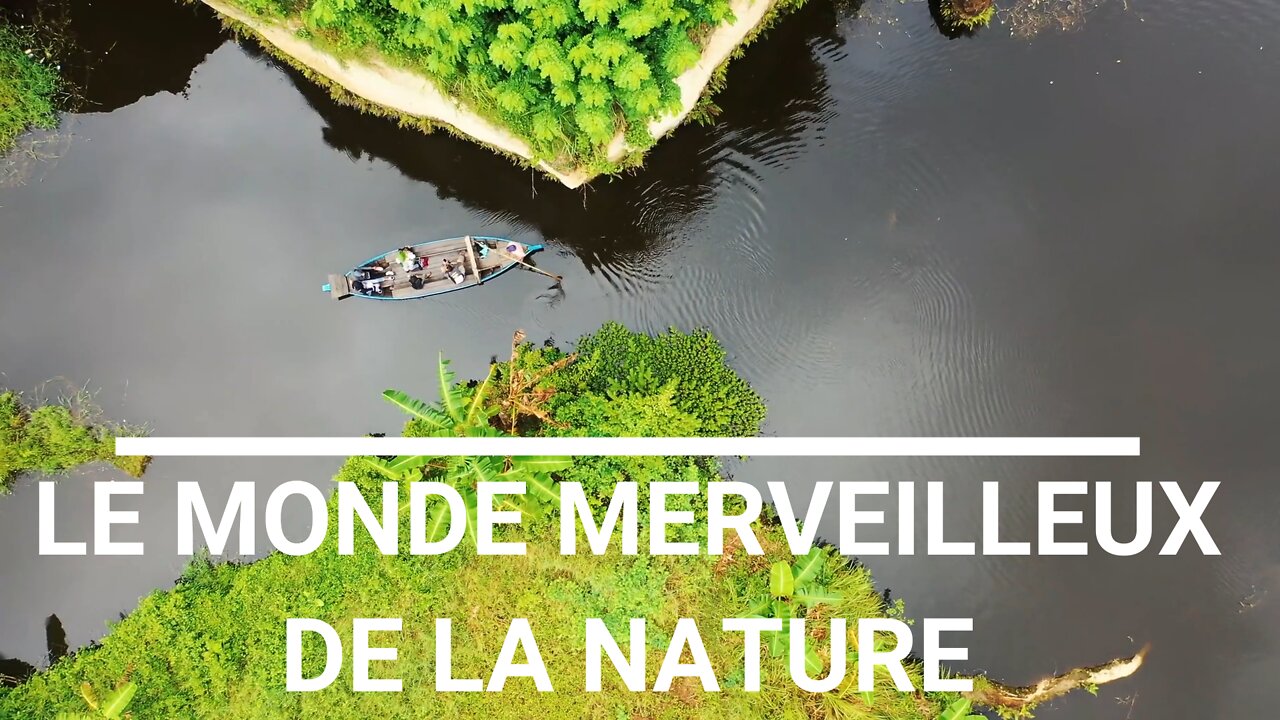 le monde merveilleux de la nature