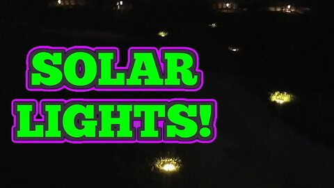 Check Out These Solar Ground Lights!