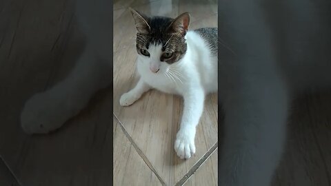minha menina linda 8 meses de puro amor