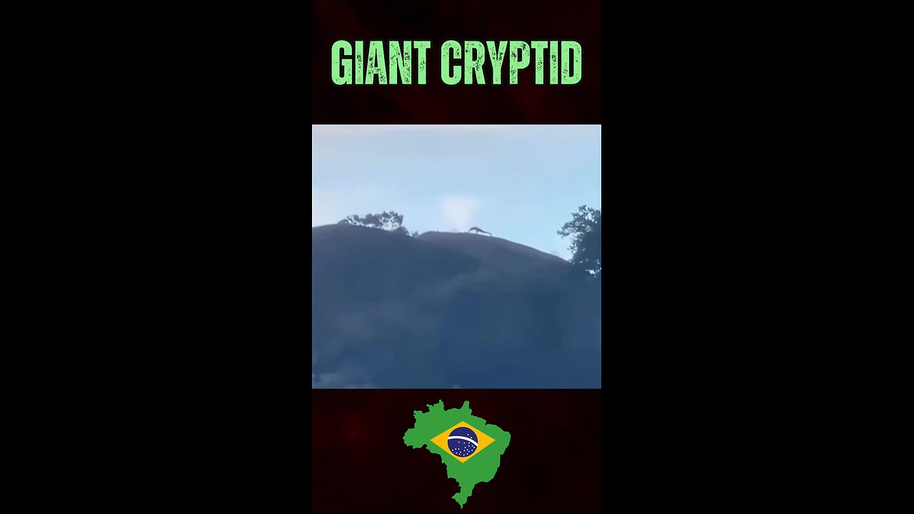 Giant Cryptid Caught on Camera: Brazil's Newest Fitness Guru?