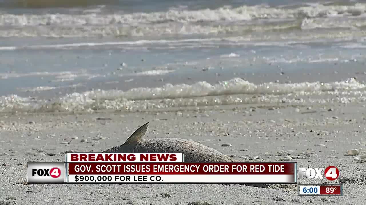 Governor Scott declares state of emergency due to red tide in Florida