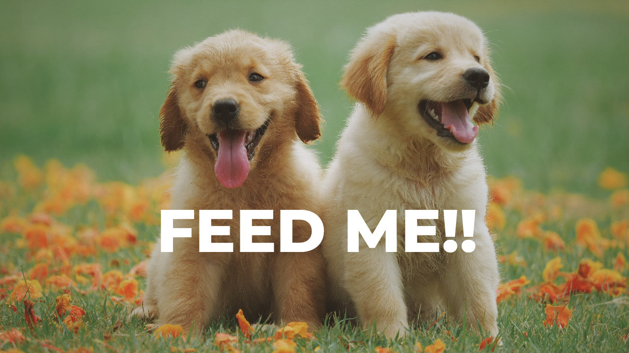 Only You Can Feed ME!!