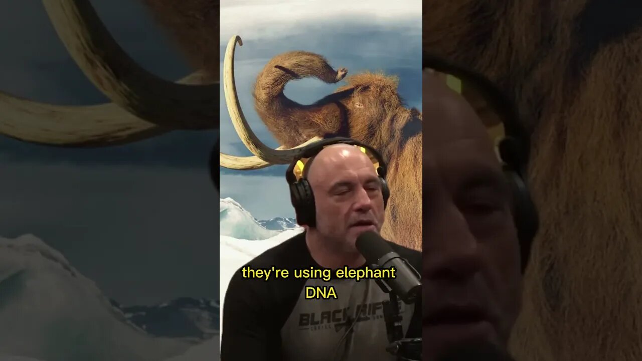 Why are we bringing back the woolly mammoth? How does de-extinction work? Joe Rogan, Forrest Galante