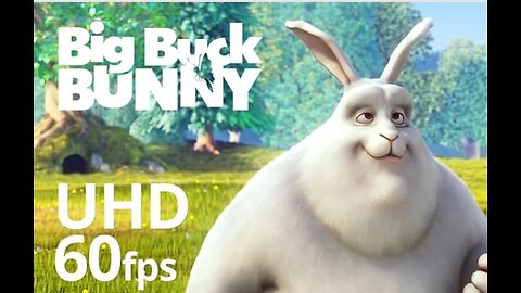 Big Bunk Bunny