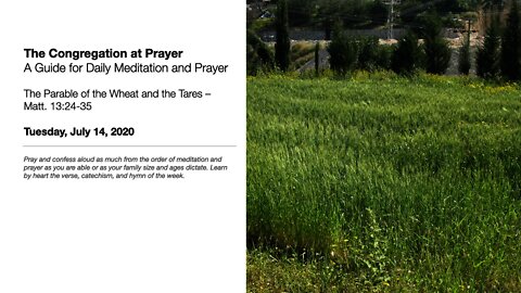 The Parable of the Wheat and the Tares - The Congregation at Prayer for July 14, 2020