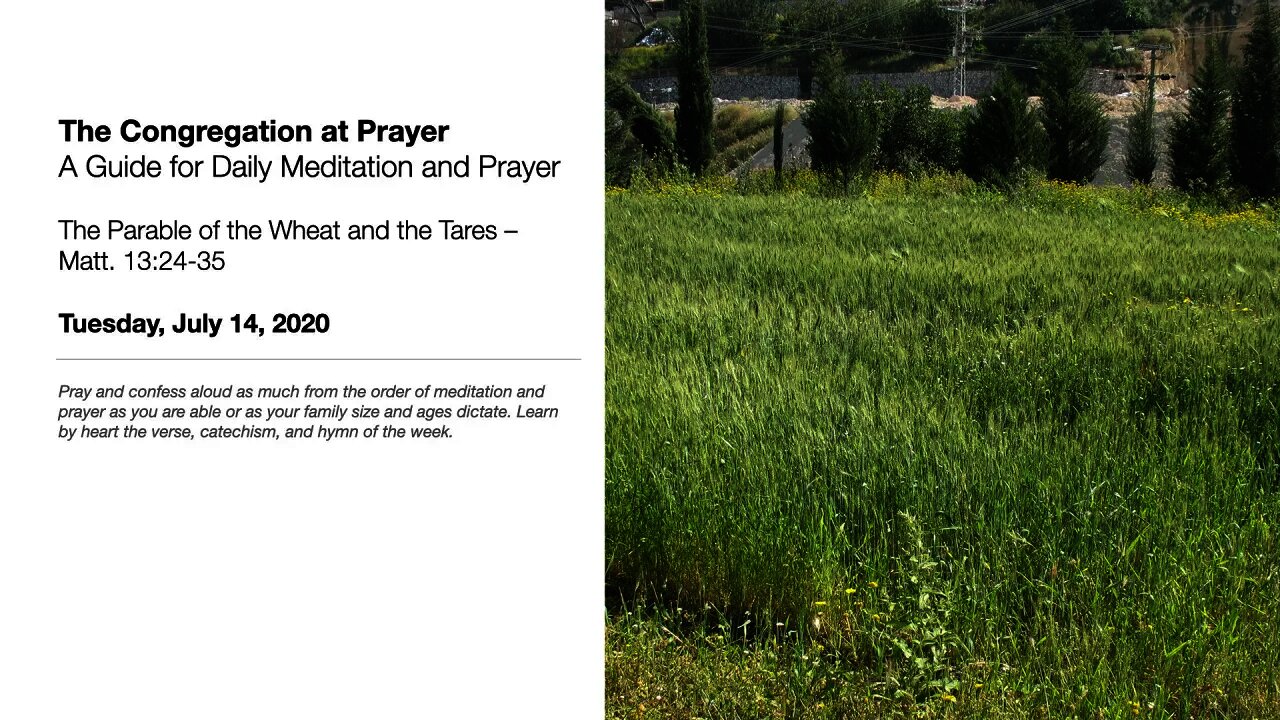 The Parable of the Wheat and the Tares - The Congregation at Prayer for July 14, 2020