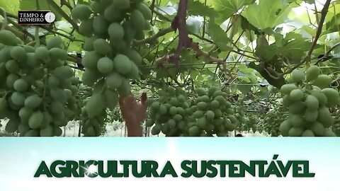 Agricultura Sustentável com Frederico Olivi