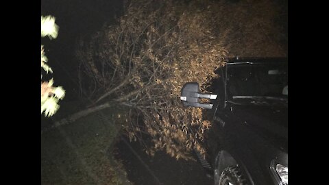 Tempete vent 1 novembre 2019 Saint-Georges beauceville