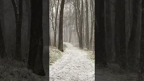 The sound of Snow falling
