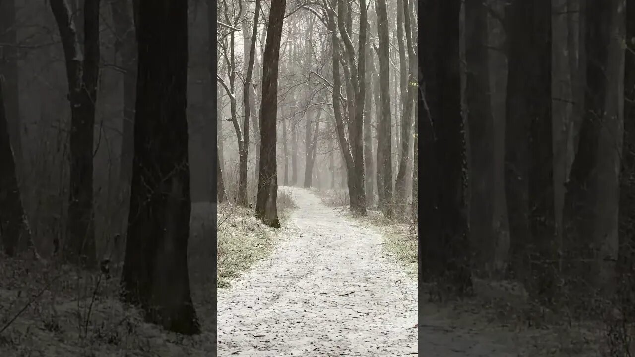 The sound of Snow falling