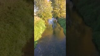 great looking creek with trees