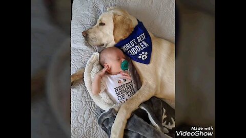 Baby & doggy cuddling session is the cutest thing you'll see today