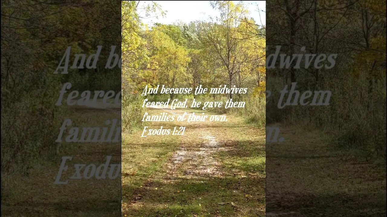 Daily Bible Verse short for today