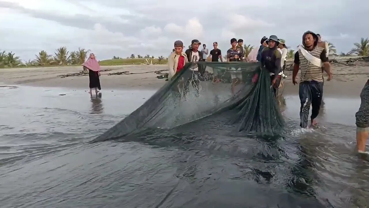 Tarik Pukat Darat | Nelayan Tradisional