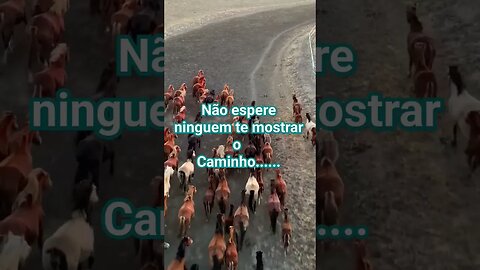 Não Espere!#short #caminho #videomotivacional #statusvideo #motivation #motivaçãopessoal