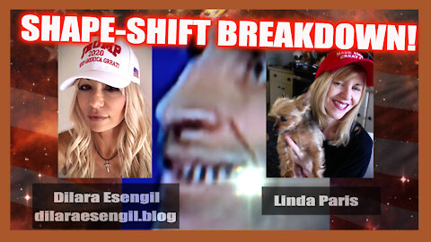 DILARA ESENGIL P2! SHAPE SHIFTING BREAKDOWNS! THEY HAVE SNOUTS!