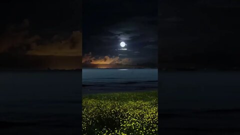 silent beech 😯 #viral #shorts