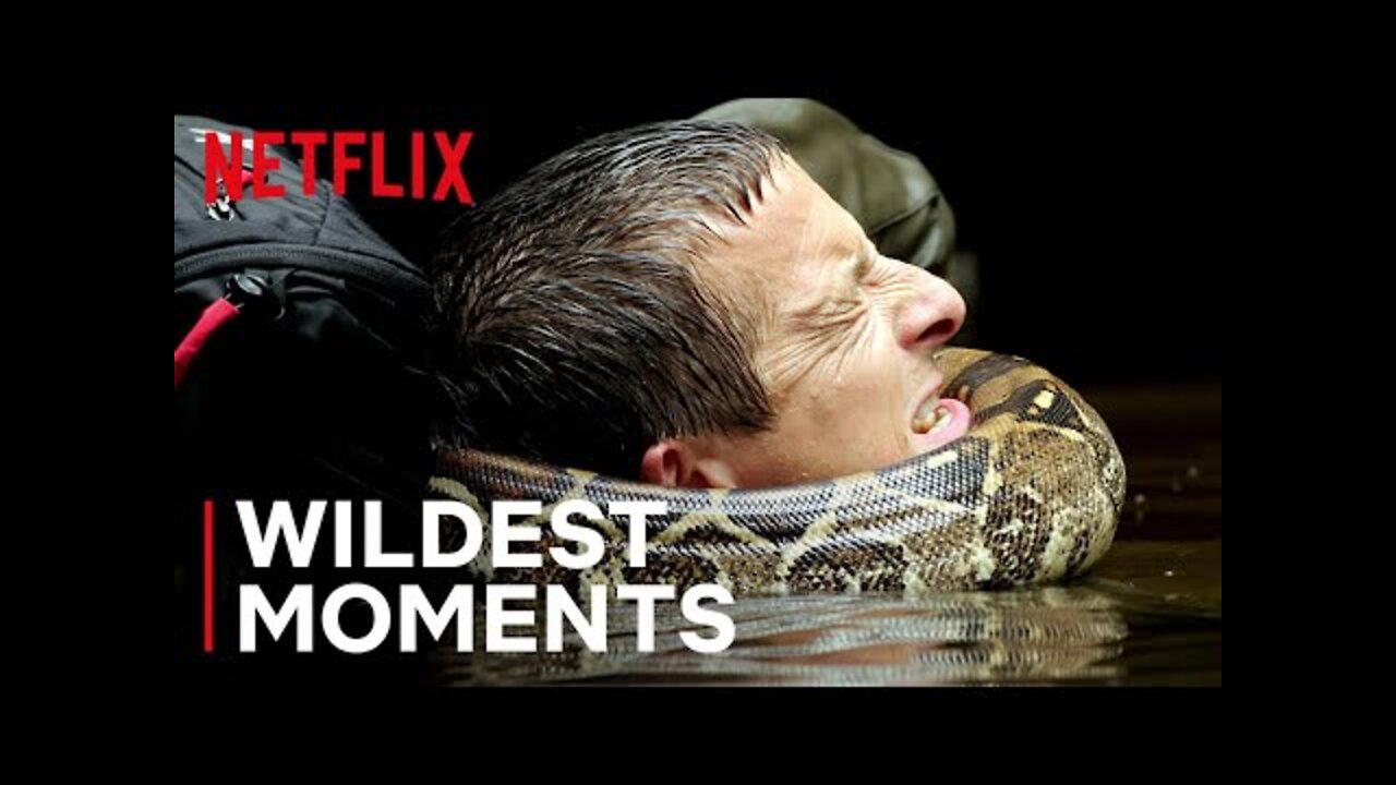 Bear’s WILDest Moments 🤯 Animals on the Loose: A You vs Wild Movie | Netflix Futures