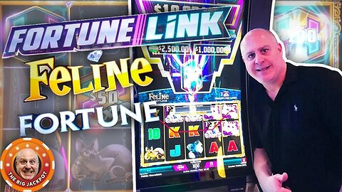 4 HUGE JACKPOT$ on Fortune Link! 🙀Feline Fortune BONUS WINS! | Raja Slots