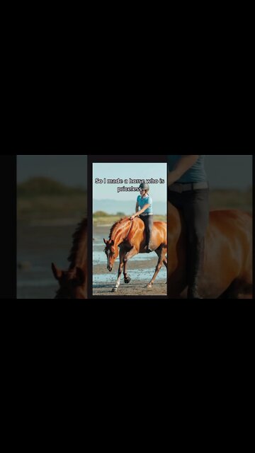 I Couldn’t Afford A $50,000 Horse