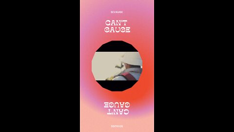 Sevauge - Can't Gauge