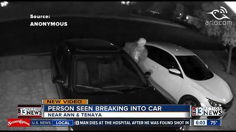 Man caught breaking into car near Ann & Tenaya