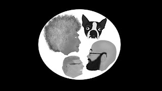 Trapped in a car with a Boston Terrier