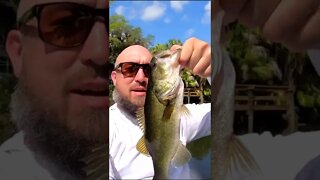 Kayak and pond fishing in Florida!