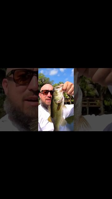 Kayak and pond fishing in Florida!