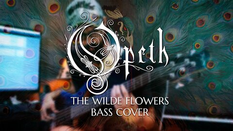 Opeth - The Wilde Flowers - Bass cover