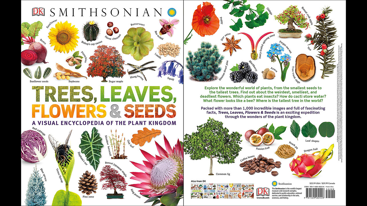 Trees, Leaves, Flowers and Seeds: A Visual Encyclopedia of the Plant Kingdom