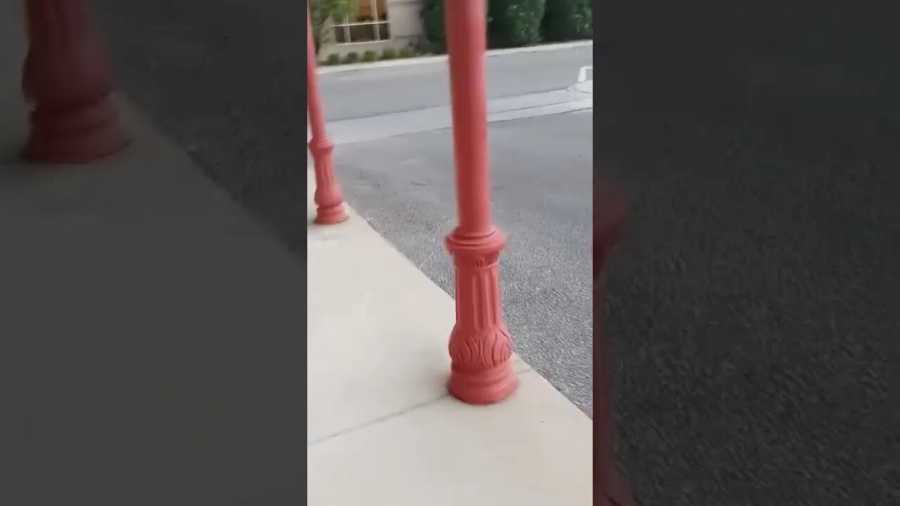 Only a TEASE of sleep last night + a nightmare about being murdered. 10/01/2022