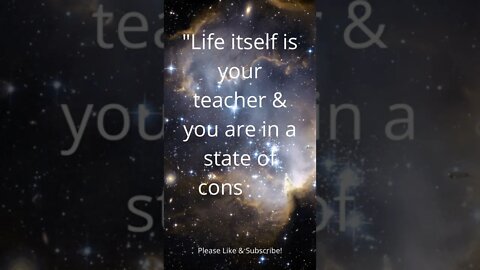 Life Itself Is Your Teacher