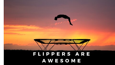 Flippers Are Awesome