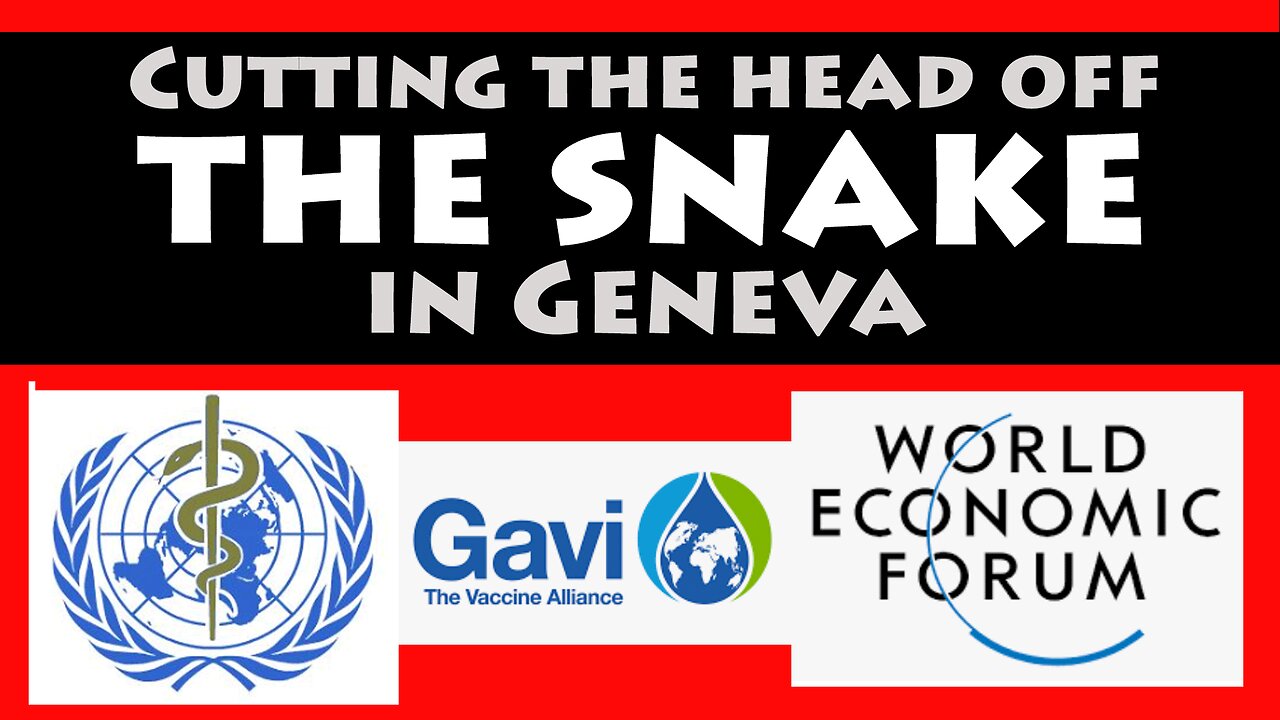 Cutting The Head Off The Snake in GENEVA