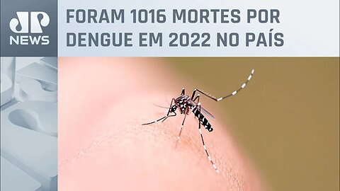 Brasil bate recorde negativo e registra mais de mil mortes por dengue em 2022