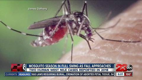 Mosquito season in full swing as fall approaches