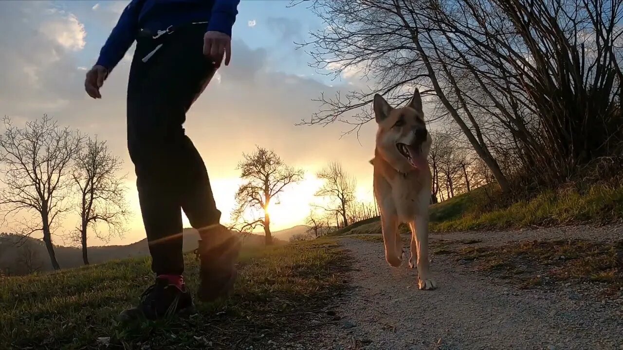 meditation 🧘♀️ 🧘♂️ video