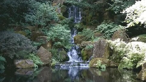 you're in the depths of nature listening to a peaceful piano piece while looking at a waterfall