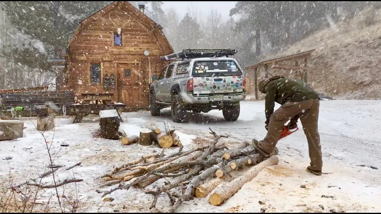 Colorado Off-Grid Cabin Snowstorm - Simple Living in the Rocky Mountains w/ My Dog, Sierra