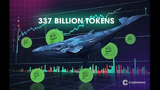 PEPE Whale Buys 337 Billion Tokens – Could This Signal a Massive Price Rally