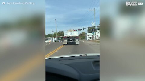 Camion presque percuté par un train