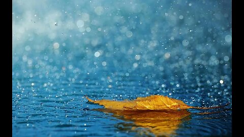 Rain Sound || #beats #relax #Nocopyright #energy #sound #crazysounds #rain #rainsound #music