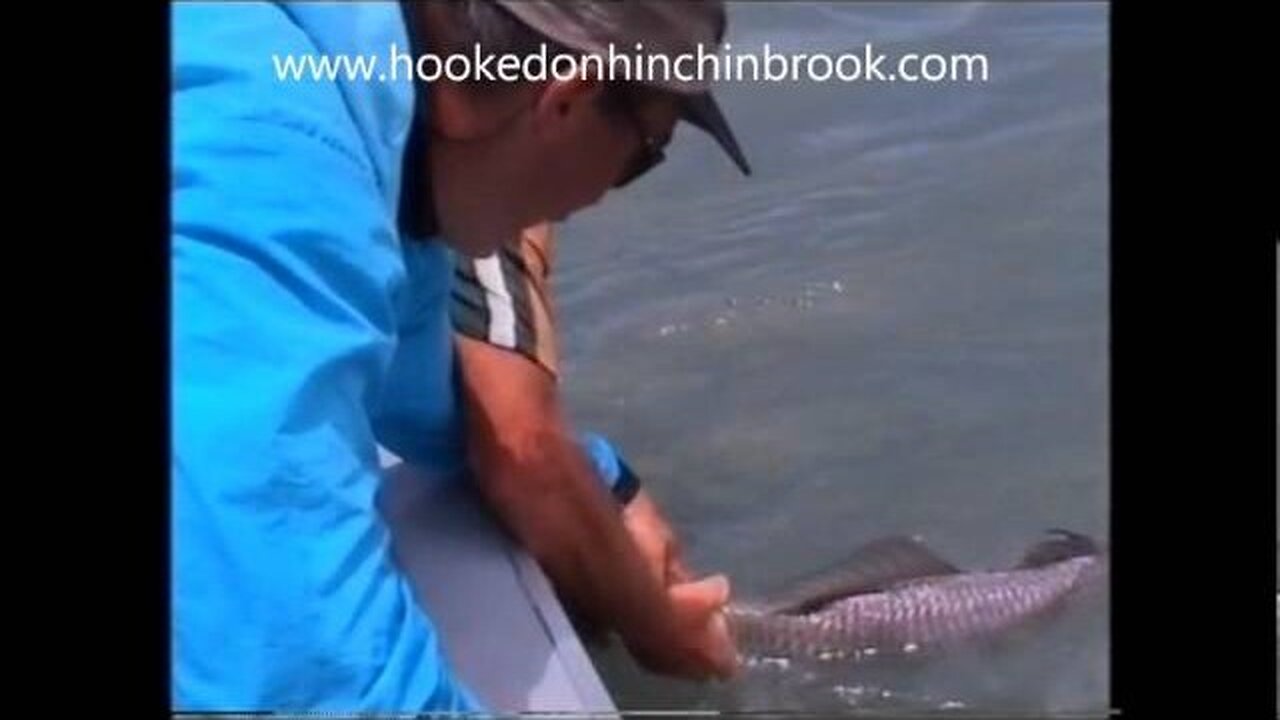 Big Barramundi 5.wmv